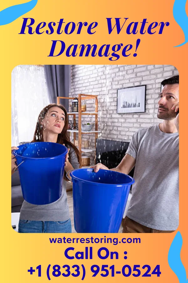 water restoration First Sewage Cleanup & Sons Anderson