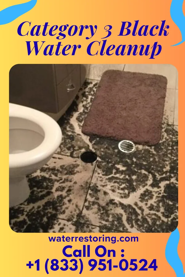 Category 3 Black Water Cleanup in Anderson, IN